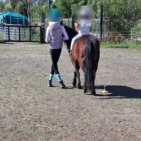 Auf der Koppel führt eine Betreuerin ein braunes Pony, im Sattel sitzt ein Kind mit Helm