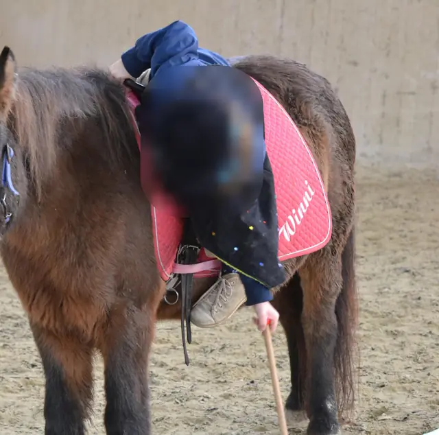Braunes Pony mit roter Satteldecke, ein Kind mit Helm beugt sich nach vorn und hält einen Schläger zum Ball