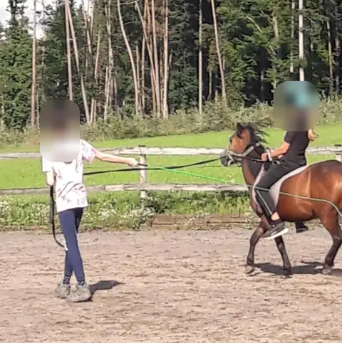 Auf einem Reitplatz am Waldrand wird ein braunes Pony mit einem Kind im Sattel geführt